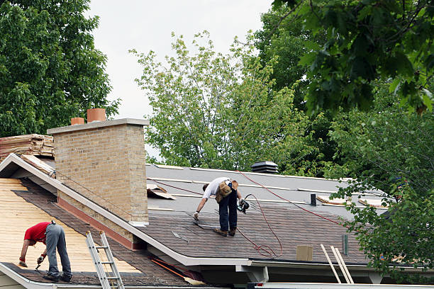 Best Roof Gutter Cleaning  in El Dorado Hills, CA